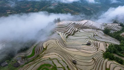 Fototapeten Reisfelder Hmong farmers prepare their fields and plant rice on terraced fields in Hoang Su Phi,Tuyen Quang. Photo taken in Tuyen Quang on June 20, 2026   © huong
