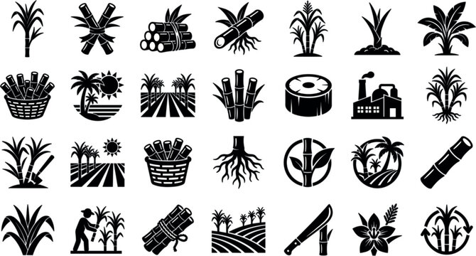 Sugarcane and Sugar Agriculture Glyph Icon Set with Plant stalks Fields Farmers Machetes Processing Refineries Baskets and Root Symbols for Food Production DesignsSugarcane and Sugar Agriculture Glyph