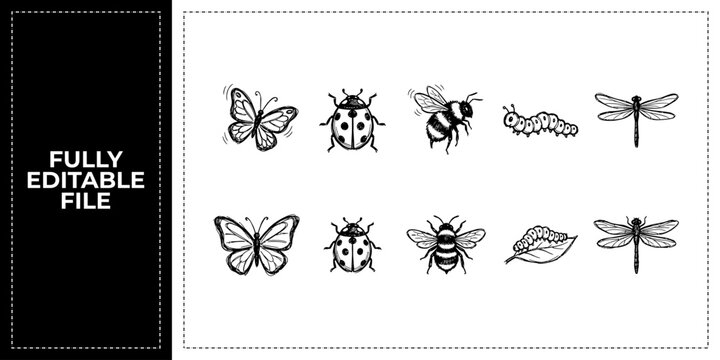 Black ink scribble insect and bug nature icon set bundle featuring hand drawn doodle sketch vector illustrations of bee and butterfly for gardening and biology education art.