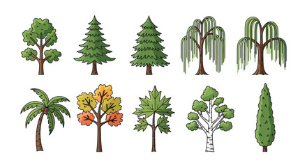 Variety Of Trees Vector Illustration With Detailed Foliage © Foaje512