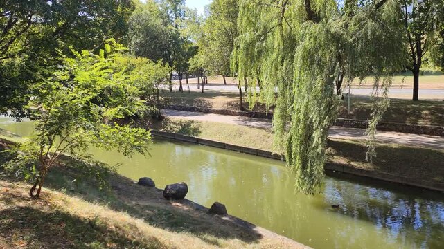 The river flows through the city among lawns where acacias, willows and linden trees grow, reflected in the water. The riverbanks are concrete. There is a tiled path with a parapet nearby. Sunny autum