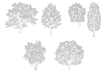 Fototapeta premium Collection of five varied trees isolated on transparent background elevation view