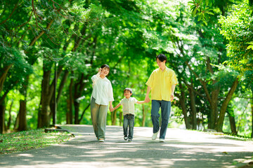 Fototapeta premium 手を繋いで公園を歩く三人家族