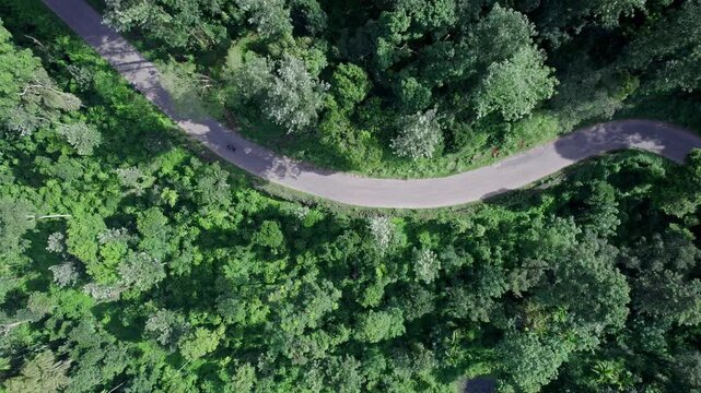 Aerial view of winding highways through lush Western Ghats forests during Karnataka's vibrant day