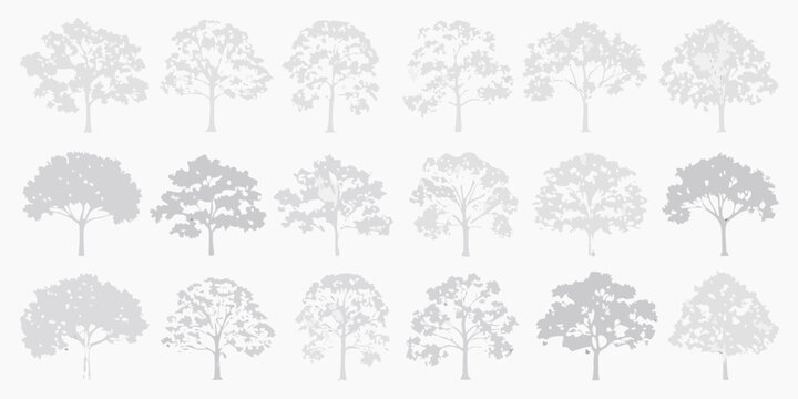 Tree silhouettes in varying shapes and foliage gray toned line drawings on a white background