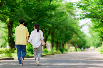 Fototapeta premium 初夏の公園を散歩するカップル 
