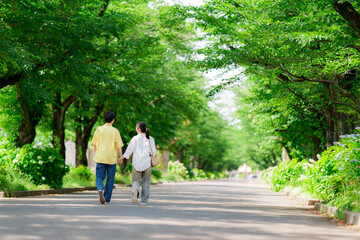 Fototapeta premium 初夏の公園を散歩するカップル 