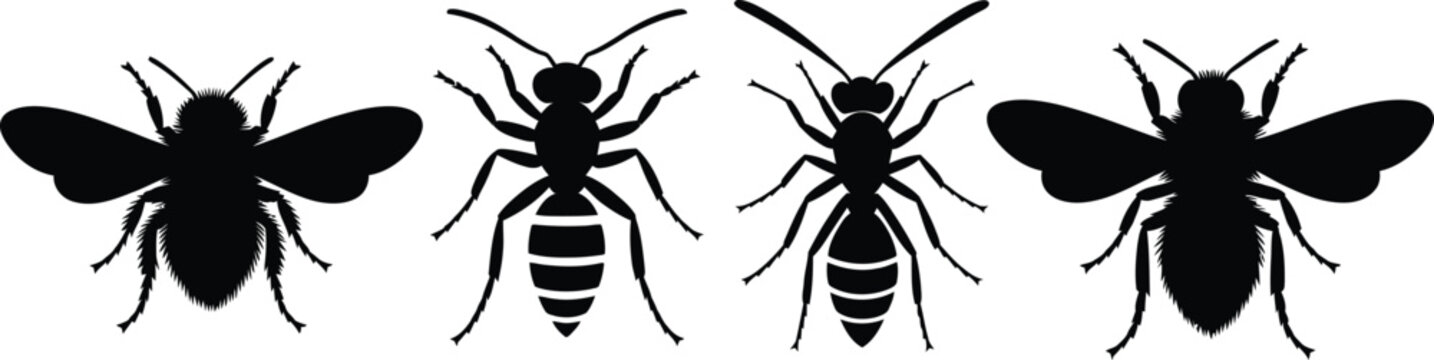 Bee Stinger Images – Browse 37,830 Stock Photos, Vectors, and