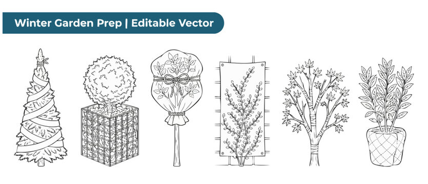 Winter garden protection vector drawings showing how to cover, wrap, and insulate delicate plants, trees, and shrubs against cold winter weather and frost damage in clean line art style outline shape
