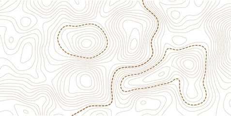 Abstract topographic map background Vector. 21:9 wallpaper design for fabric , packaging , web, geographic grid map vector illustration. © MstMomena