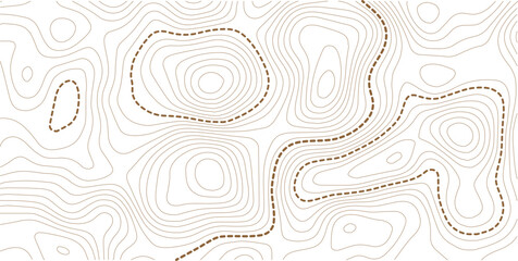 Abstract topographic map background Vector. 21:9 wallpaper design for fabric , packaging , web, geographic grid map vector illustration. © MstMomena