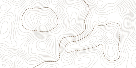 Abstract topographic map background Vector. 21:9 wallpaper design for fabric , packaging , web, geographic grid map vector illustration. © MstMomena