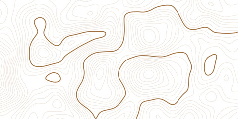 Topographic map lines, contour background. Background of the topographic map. Image grid geographic relief topographic contour line maps cartography texture © MstMomena