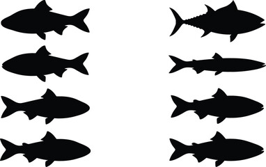Obraz premium Freshwater and Saltwater Fish Silhouette Vector Set Featuring Tuna Mackerel Salmon Bass and Trout Species Shapes for Fishing Industry Logos and Graphic Designs