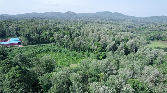 Aerial view of dense madikeri forest and hills showcasing scenic natural landscape beauty