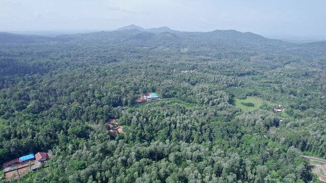 Aerial view of dense madikeri forest and hills showcasing scenic natural landscape beauty