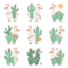 Obraz premium Cute llama standing next to cactus.