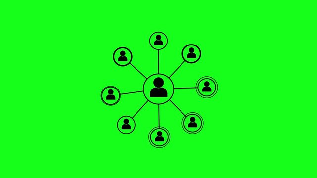 Social Media User Network Connection Hierarchy Animation with Black Avatar Icons and Nodes on Chroma Key Green Screen Background for Business Team Structure Overlay.