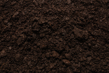 Fototapeta premium Black land for plant background.