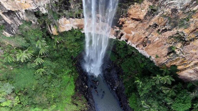 Aerial View of Purling Brook Falls Cascading into a Lush Rainforest Canyon, Springbrook National Park Gold Coast Australia