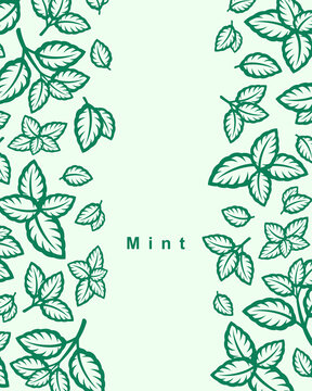 Mint leaves background, pattern set. Collection mint leaves icons. Vector