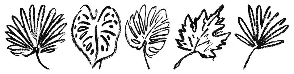 Fototapeta premium PNG Five artistic hand-drawn leaves on transparent background