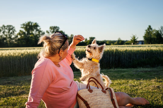 Female pet owner giving treat to her dog outdoors. Funny mixed breed terrier