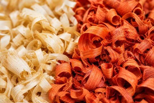 Pile of vibrant orange-red padauk wood shavings contrasted with pale shavings.