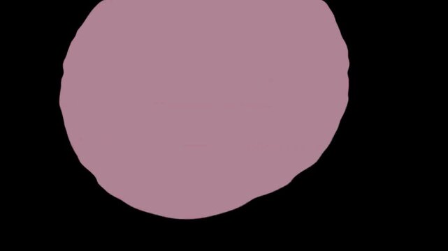 Liquid blob transition with colorful morphing shapes on alpha channel