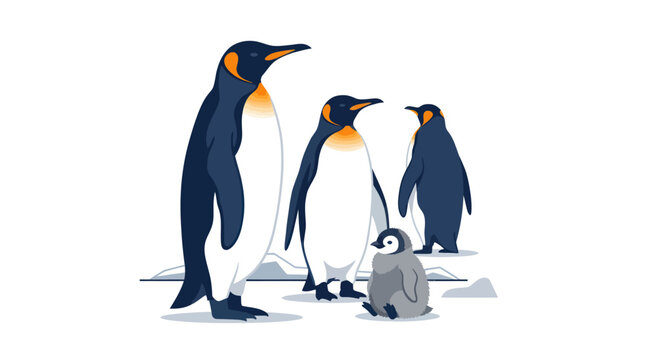 Emperor Penguin Family Vector Illustration