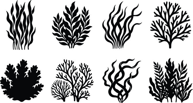 Black silhouette vector illustrations of diverse seaweed and coral shapes representing underwater plants and marine design elements