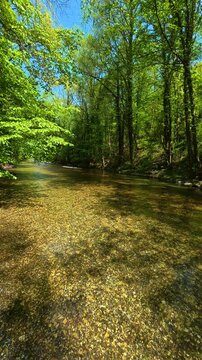 Riverbed glints beneath clear. Gradac River, Serbia. Vertical