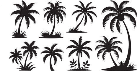 Fototapeta premium Black palm trees set isolated on white background. Palm silhouettes. Design of palm trees for posters, banners and promotional items. Vector illustration