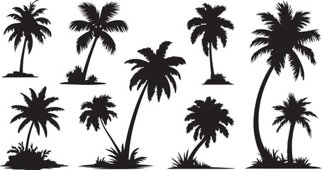 Fototapeta premium Black palm trees set isolated on white background. Palm silhouettes. Design of palm trees for posters, banners and promotional items. Vector illustration