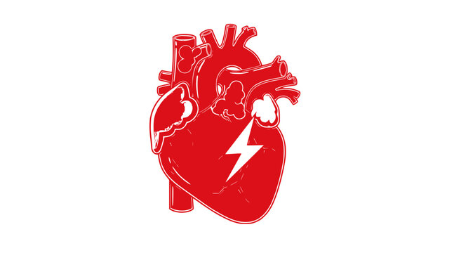 red heart with lightning bolt, human anatomy
