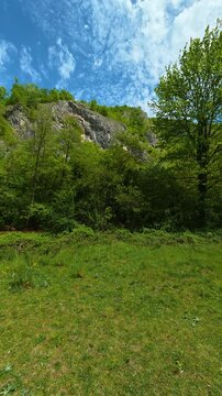 Clouds drift above lush, sunlit foliage. Gradac River, Serbia. Vertical