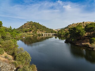 Fototapeta premium Clear water reflects trees and hills near a riverbank with a bridge in the distance during the day in a natural setting