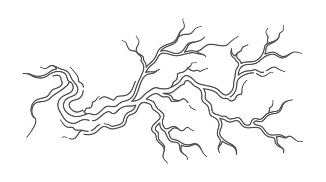 Tree branch silhouette displays a complex network of organic lines that mimic the structure of nervous system pathways.