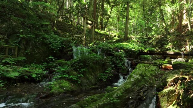 瓜割の滝