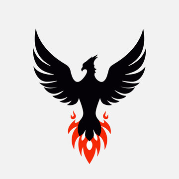 Majestic phoenix rising with wings spread silhouette vector abstract firebird logo