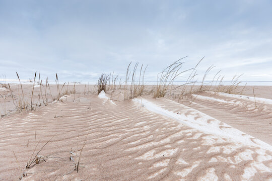Wind-sculpted sand dunes dotted with sparse beach grasses stretch toward a calm sea beneath a soft overcast sky, evoking solitude, serenity, coastal nature and minimalist landscape in a cold-season