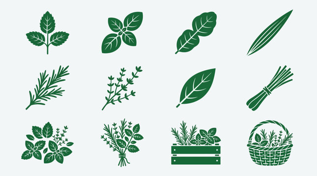 Flat minimal vector icon set of 12 aromatic herbs: mint sprig, basil sprig, kaffir lime leaf, pandan leaf, rosemary branch, thyme sprig, bay leaf, lemongrass bundle, herbal leaves pile, fresh aroma he