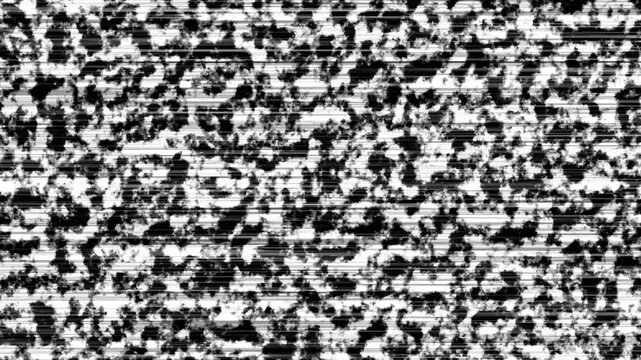 Contrast black and white digital noise pattern with horizontal scan line interference effect