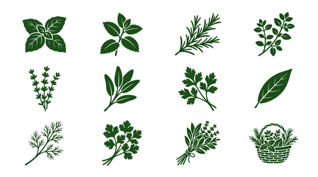 Flat minimal vector icon set of 12 aromatic herbs: mint sprig, basil sprig, kaffir lime leaf, pandan leaf, rosemary branch, thyme sprig, bay leaf, lemongrass bundle, herbal leaves pile, fresh aroma he