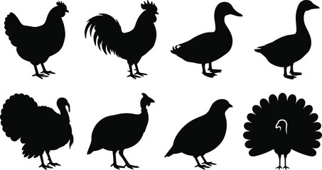 Fototapeta premium Farm poultry and birds silhouette vector set featuring chicken rooster duck goose turkey guinea fowl quail and peacock