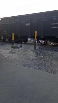A heavy freight train loaded with coal passes by the camera on a rural railway track.