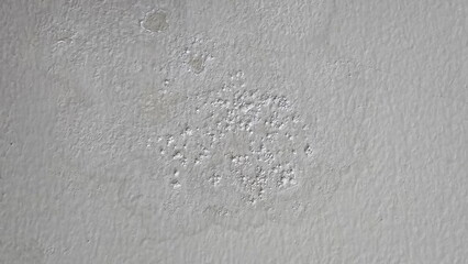 Fototapeta premium The paint on the walls is blistering and peeling. White or grey painted cement wall has blister marks. A blistered colored film protruding from wall may be sac of water or air. blistered marks, crack 