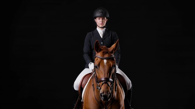 Horse riding, equestrian and woman on stallion with black background for sports advertising. Jockey, competition and professional gear plus helmet, dressage and hobby within marketing campaign or ads