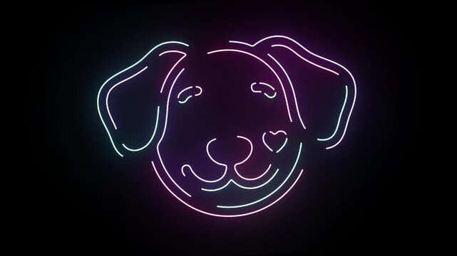 Neon Dog Face Graphic Animation Featuring Radiant Glowing Lines In Vibrant Blue And Pink Colors Against A Deep Pitch Black Background Representing A Charming Minimalist Digital Illustration For Modern