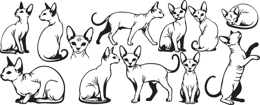 Sphynx Cat Vector Silhouette Set, Hairless Feline Black and White Line Art Bundle, Minimalist Exotic Pet Clip Art
